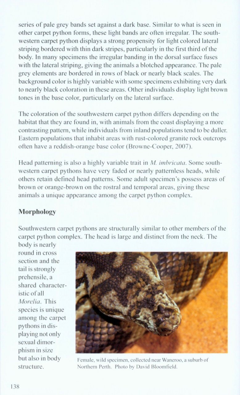 the complete carpet python ebook